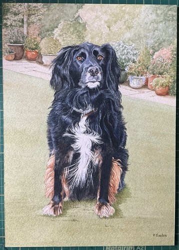 Original artwork acrylic dog - original,