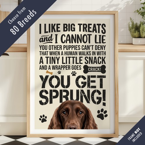 Funny dog treats lyric quote - lyric,