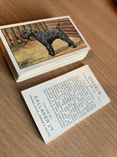 1936 gallaher dogs - gallaher,