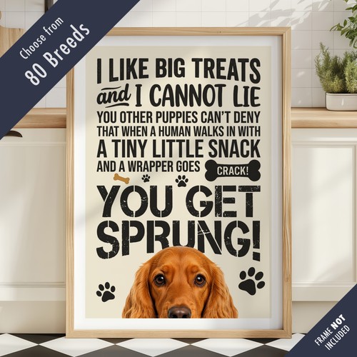 Funny dog treats lyric quote - funny,