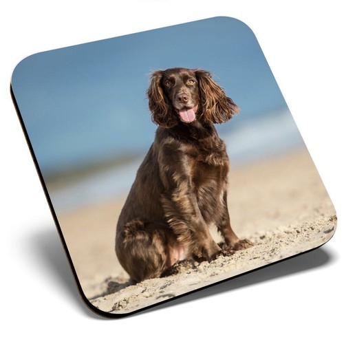 Square single coaster cocker - coaster,