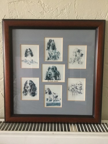 Framed cocker spaniel picture - cocker,