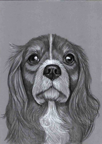 Original pencil drawing - b&w,