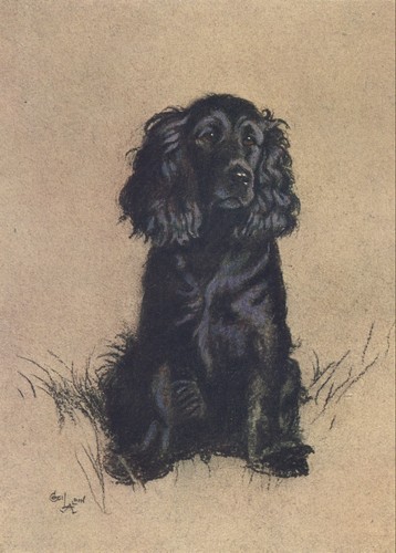 Cecil aldin dog prints - cecil,