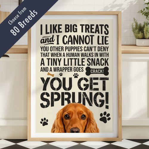 Funny dog treats lyric - treats,
