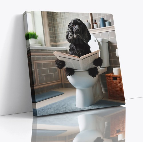 Black cocker spaniel - black,
