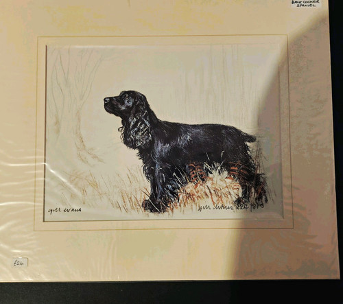 Gill evans limited edition - gill,