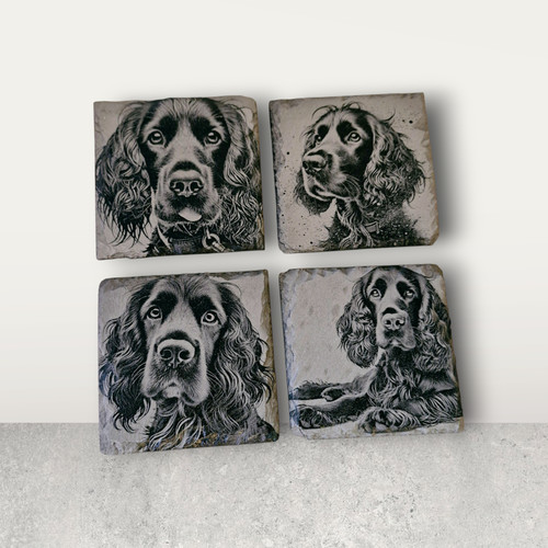 Cocker spaniel collection - cocker, of