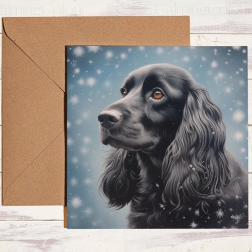Black cocker spaniel snowy - spaniel, in