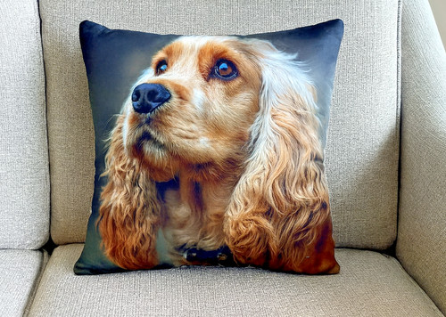 Cocker spaniel dog - 1,