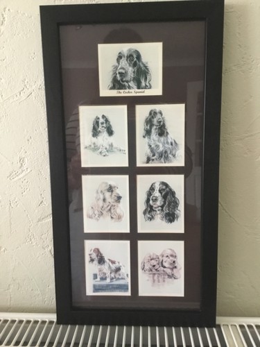 Framed cocker spaniel - framed,