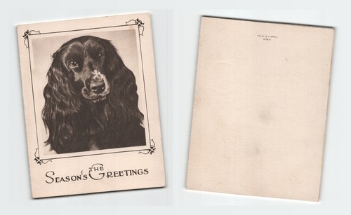 Vintage postcard cocker - vintage,