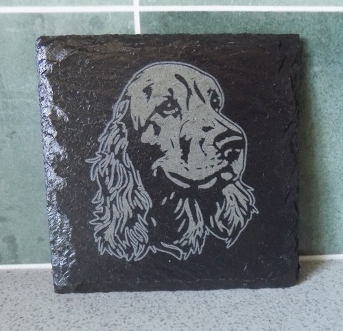 New engraved cocker - new, spaniel'