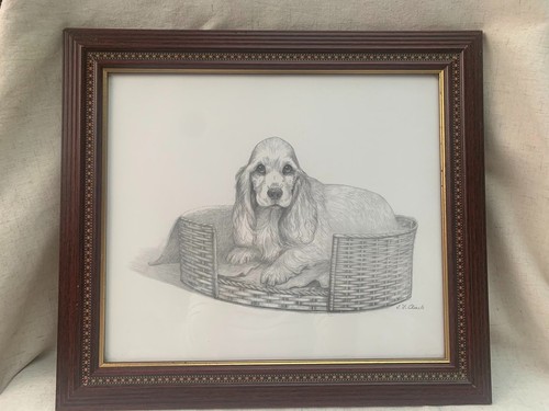 Signed cocker spaniel dog - cocker,