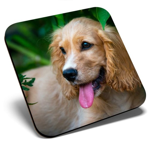 Square single coaster - square,