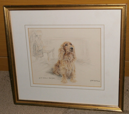 Gill evans cocker spaniel - -,