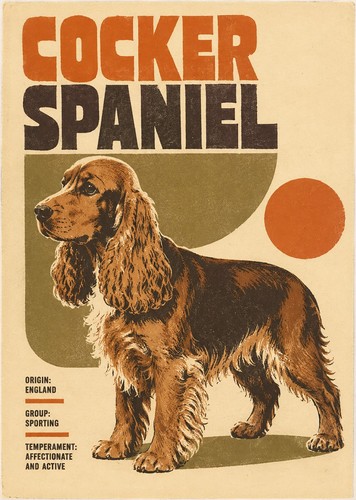 Cocker spaniel print - a4,