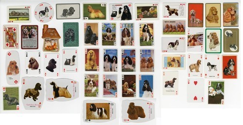 Cocker spaniel collection - collection, of