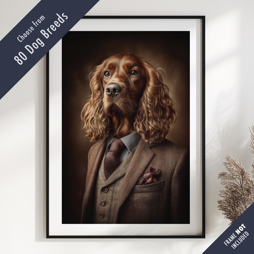 Smartly dressed dog - smartly,