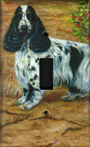 English cocker spaniel single - cocker,