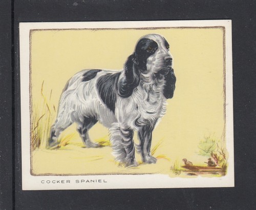 1934 gallaher dogs - gallaher, (large)