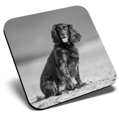 Square single coaster - single, bw