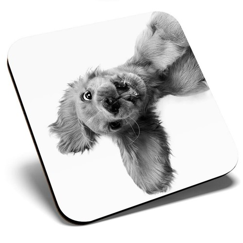 Square single coaster - single, bw