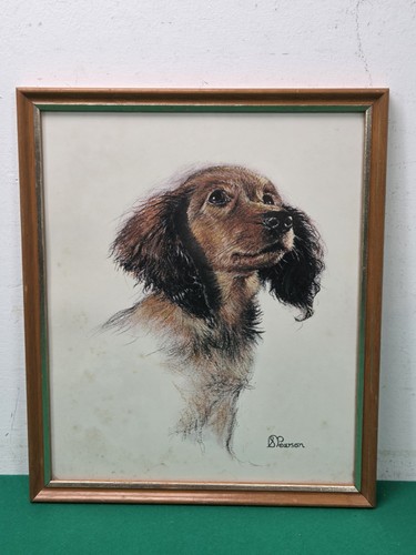 Framed cocker spaniel - framed,