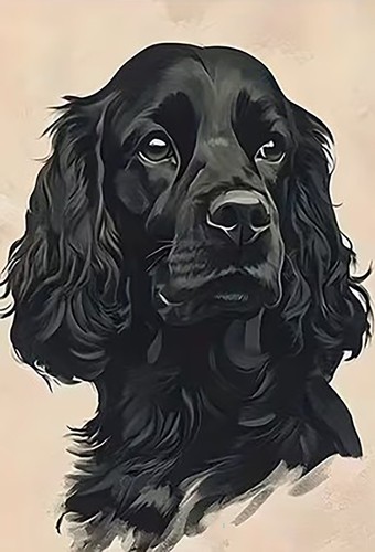 Cocker spaniel dog - cocker, animal