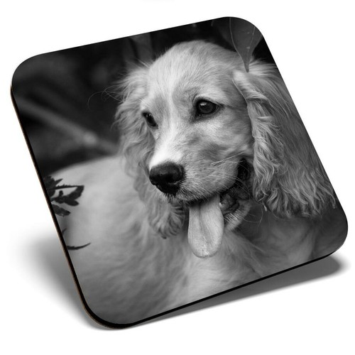 Square single coaster - single,
