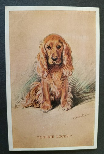Mac dog postcard cocker - mac,