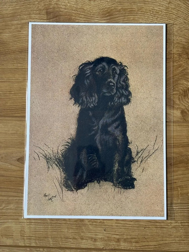Cecil aldin cocker spaniel dog - aldin,