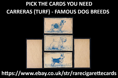 Carreras famous dog - -,