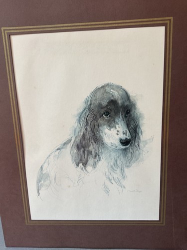 1970s cocker spaniel - 1970s,